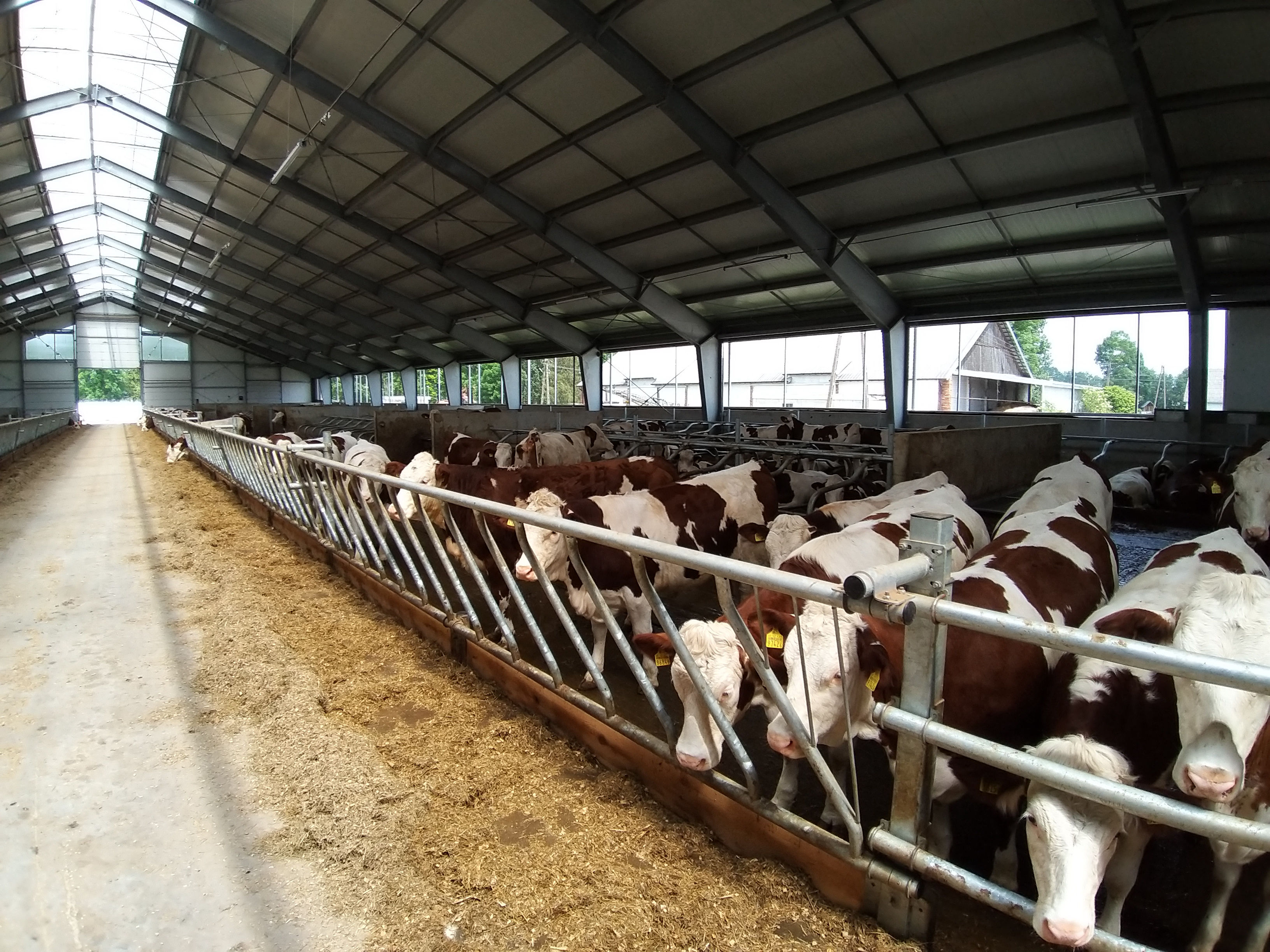 HPQ budowa z prefabrykatów