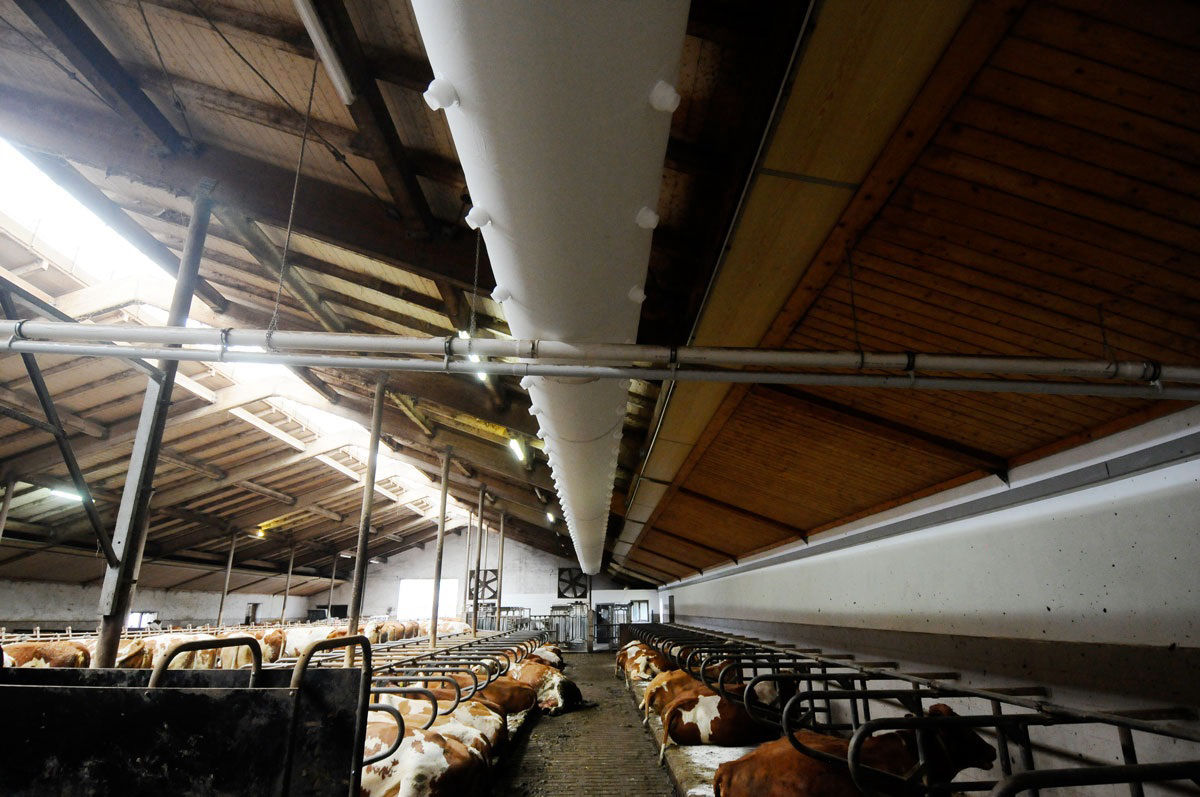 HPQ budowa nowoczesnej obory